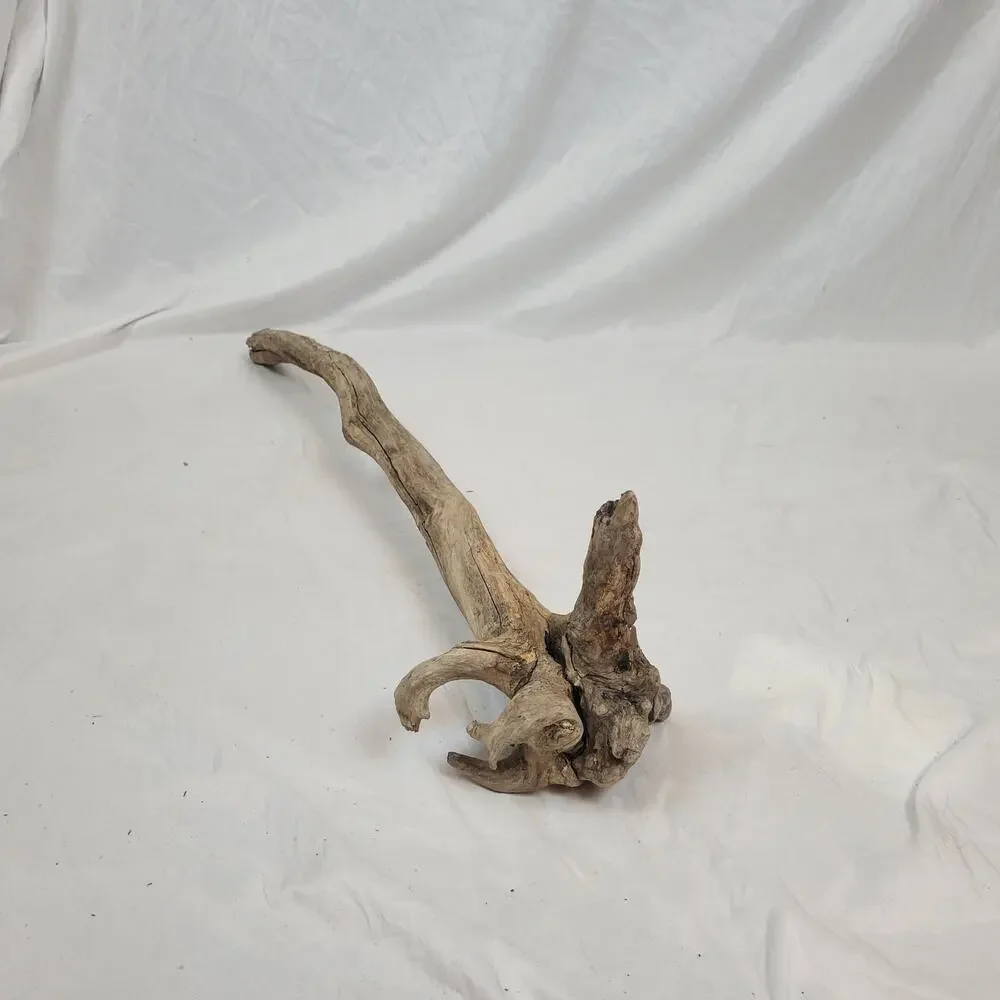 Ohio River Driftwood 37